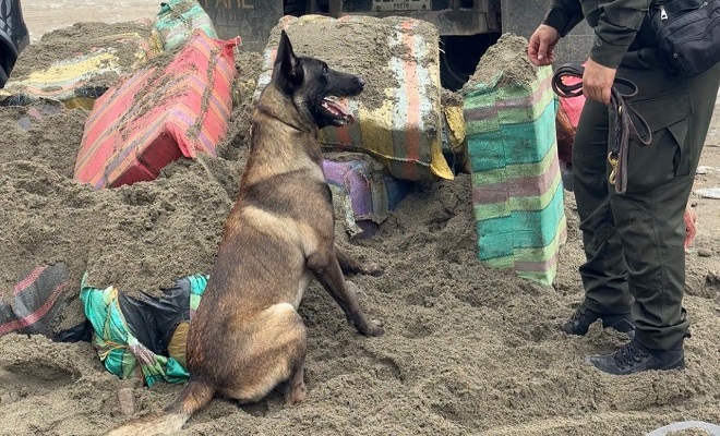 Hallazgo de marihuana en Putumayo