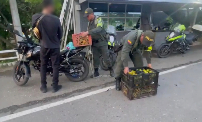 Hallazgo del estupefaciente incautado