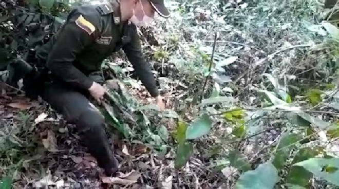 hurto_en_sabana_de_torres