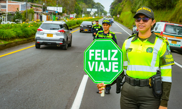 Seguridad ciudadana 