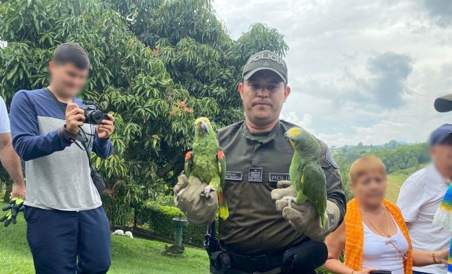 En conjunto con la comunidad se realizan actividades de protección de especies silvestres en toda el área metropolitana de Pereira.