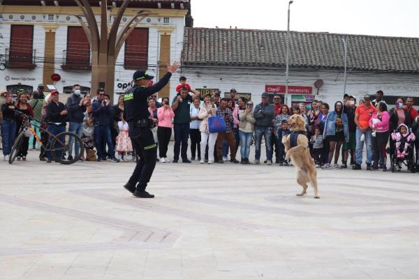 Caninos entrenados en obediencia básica y avanzada