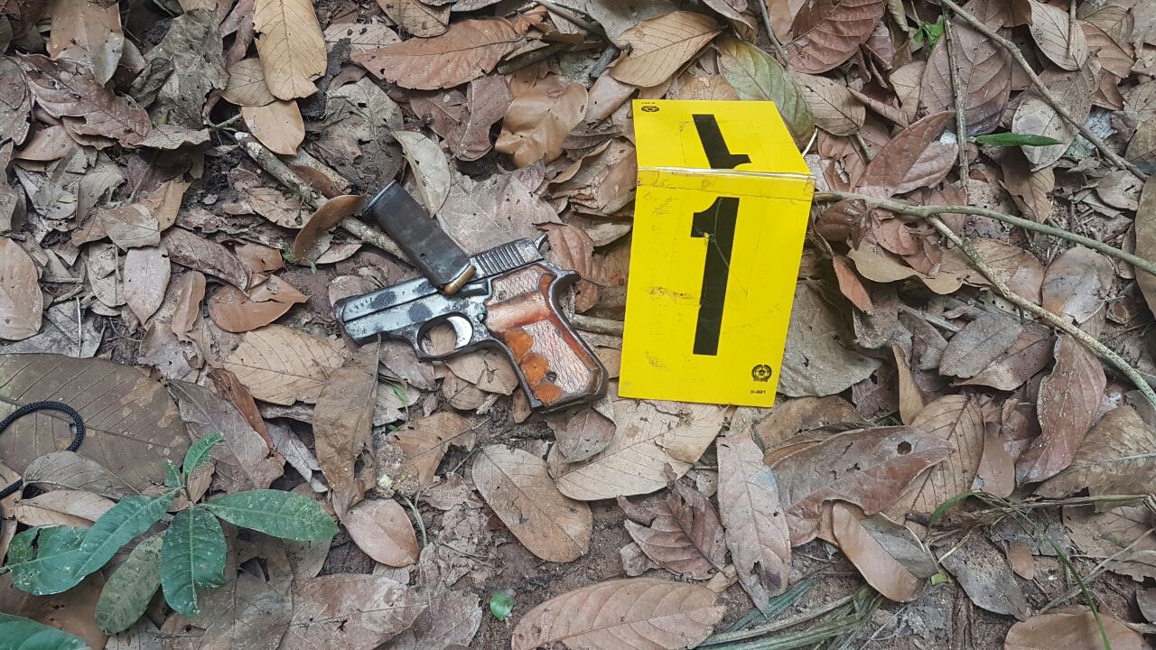 gracias a la información de la comunidad se logró el hallazgo de armas de fuego y sustancias alucinógenas 