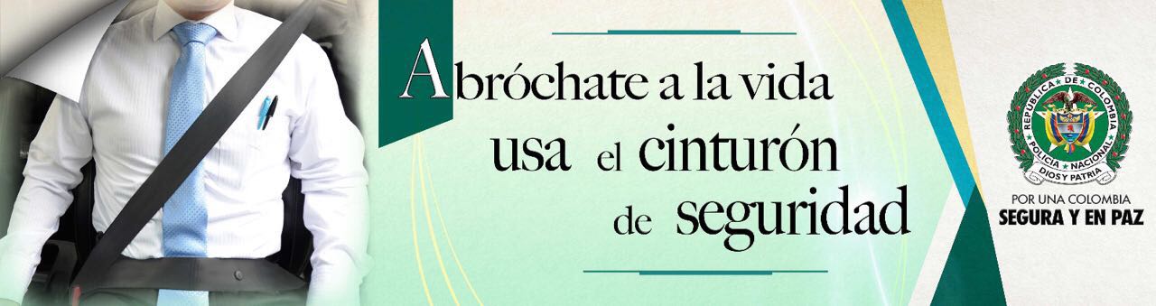 Usar el cinturón reduce un 50 % la probabilidad de muerte en caso de colisión 