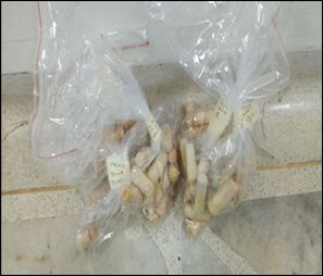 Capturan-a-dos-personas-cuando-llevaban-1.250-gramos-de-heroína-en-su-abdomen