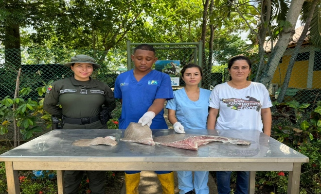 Incautación de carne de pez raya