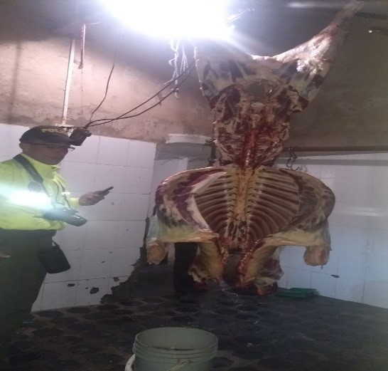  incautacion-carne-tunja