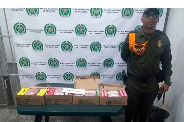 Incautación de estupefacientes 