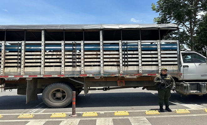 Acciones ofensivas contra el flagelo del abigeato