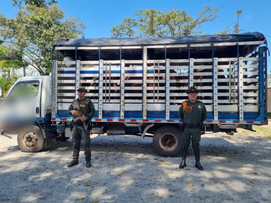 Incautación de semovientes en Cubarral