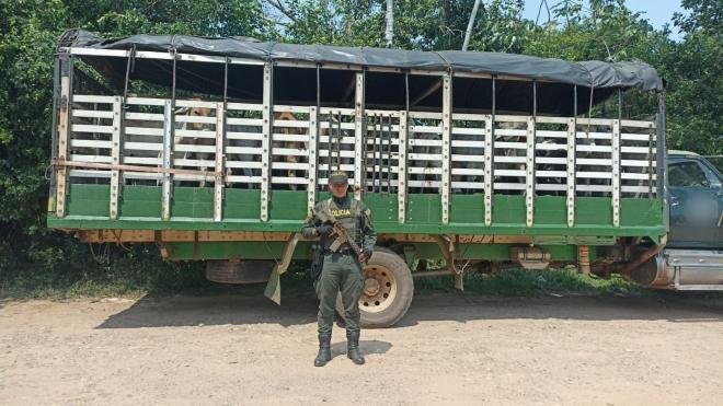 Incautación en área rural de Castilla La Nueva