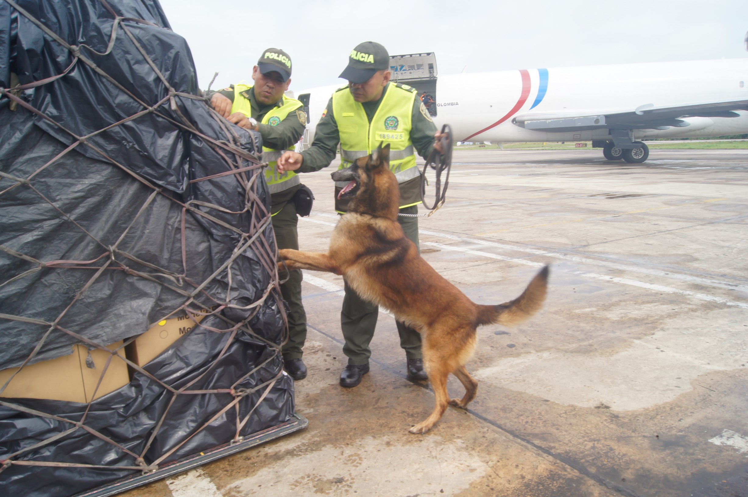 Los insumos fueron enviados por vía aérea 