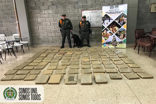 incautacion de marihuana