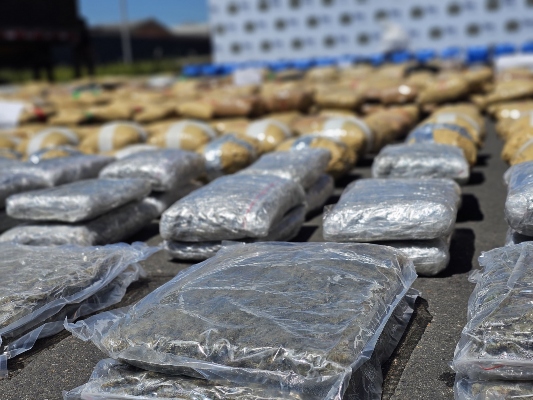 Incautadas cerca de dos toneladas de marihuana en Bogotá