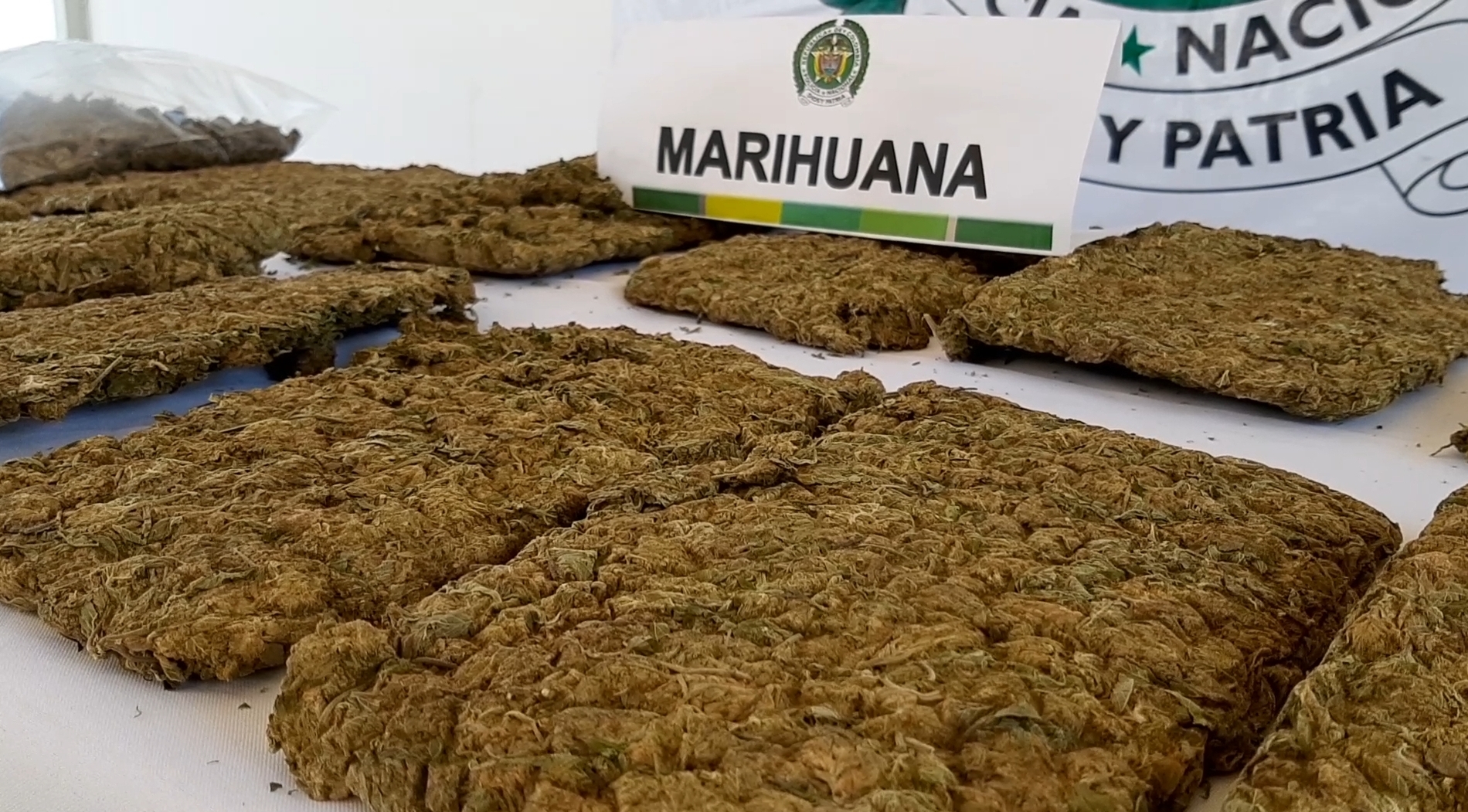  Incautamos tres mil gramos de marihuana en Casanare.  