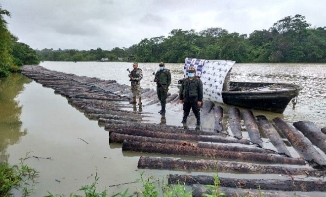 Incautamos 340 trozos de madera taladas ilegalmente en el Litoral del San Juan