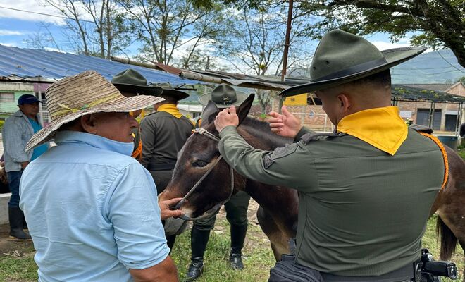 Equinos utilizados en labores agrícolas recibieron atención integral gracias al trabajo conjunto entre la Policía y entidades locales.