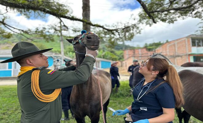 Jornada de bienestar animal benefici&oacute; a campesinos en zona rural de Consac&aacute;