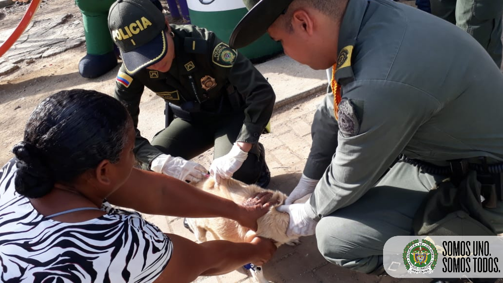 Adelantamos  jornada de vacunación de caninos y felinos en el sector de las palmas