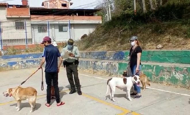 jornada_de_vacunacion_animal.jpg_2