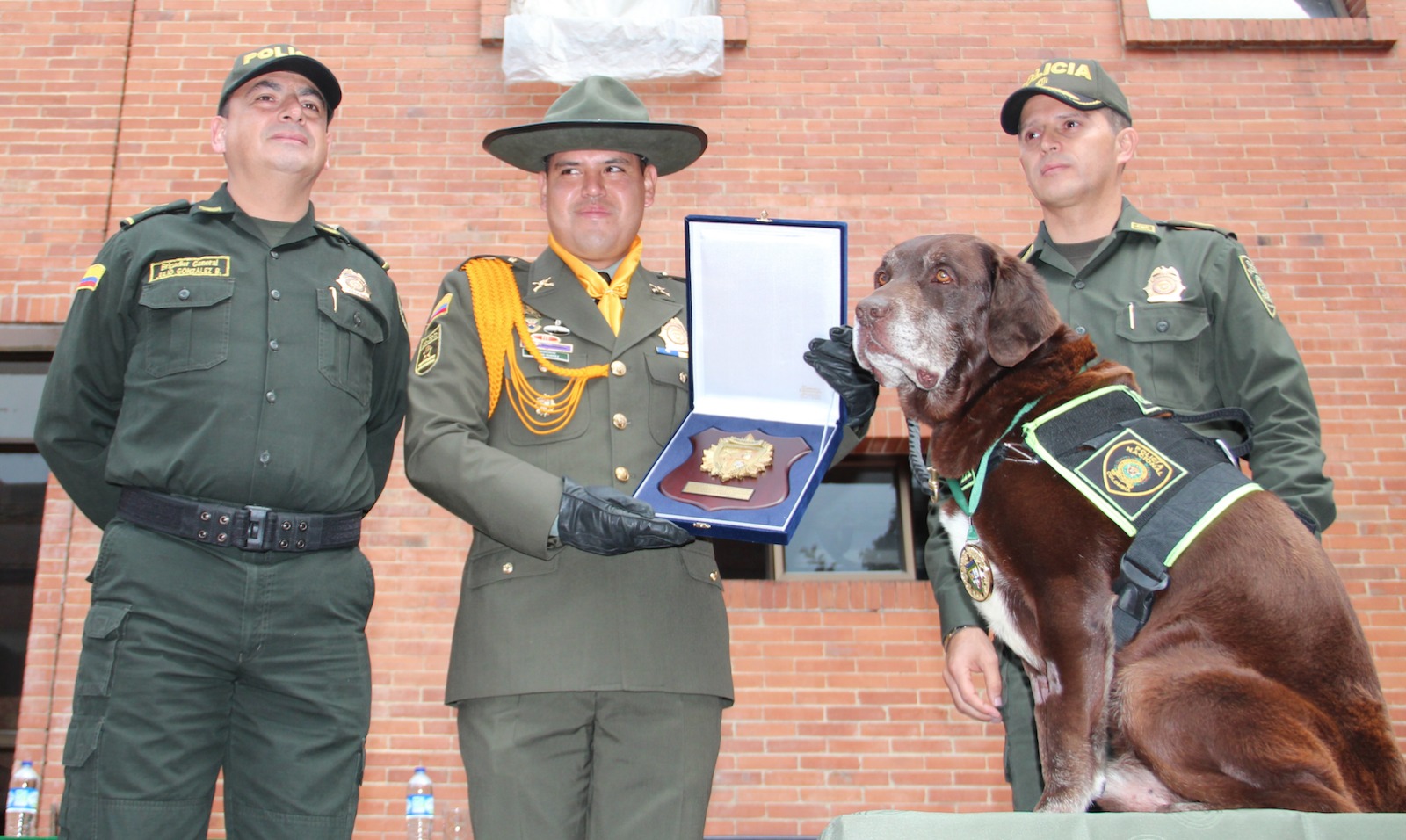 policia-nacional-realiza-homenaje-a-un-canino