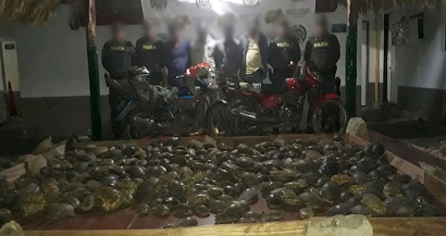 En el procedimiento policial se capturaron a cuatro personas que pretendían comercializarlas