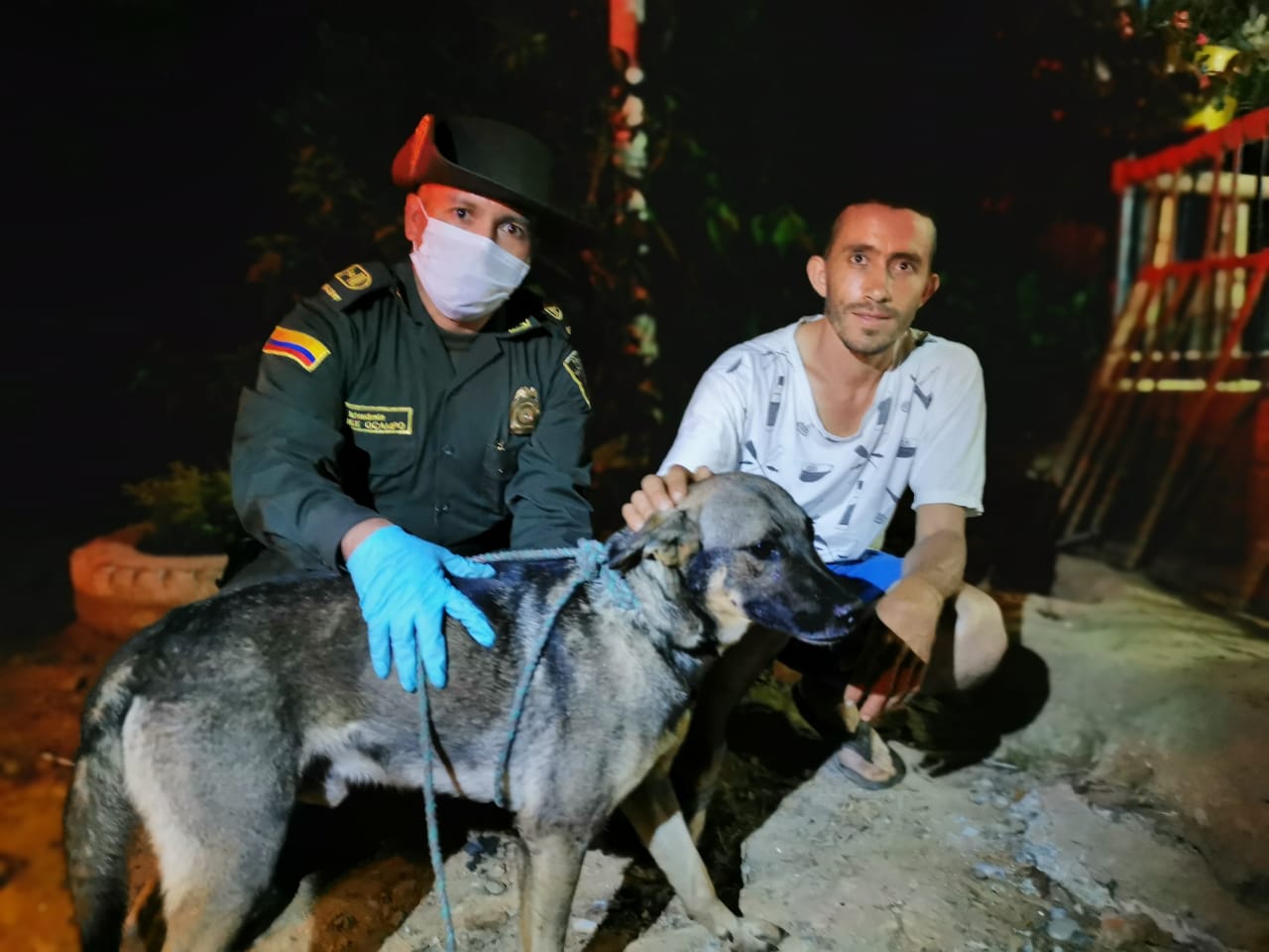 LosHeroesDeLosAnimalesTambienExisten1