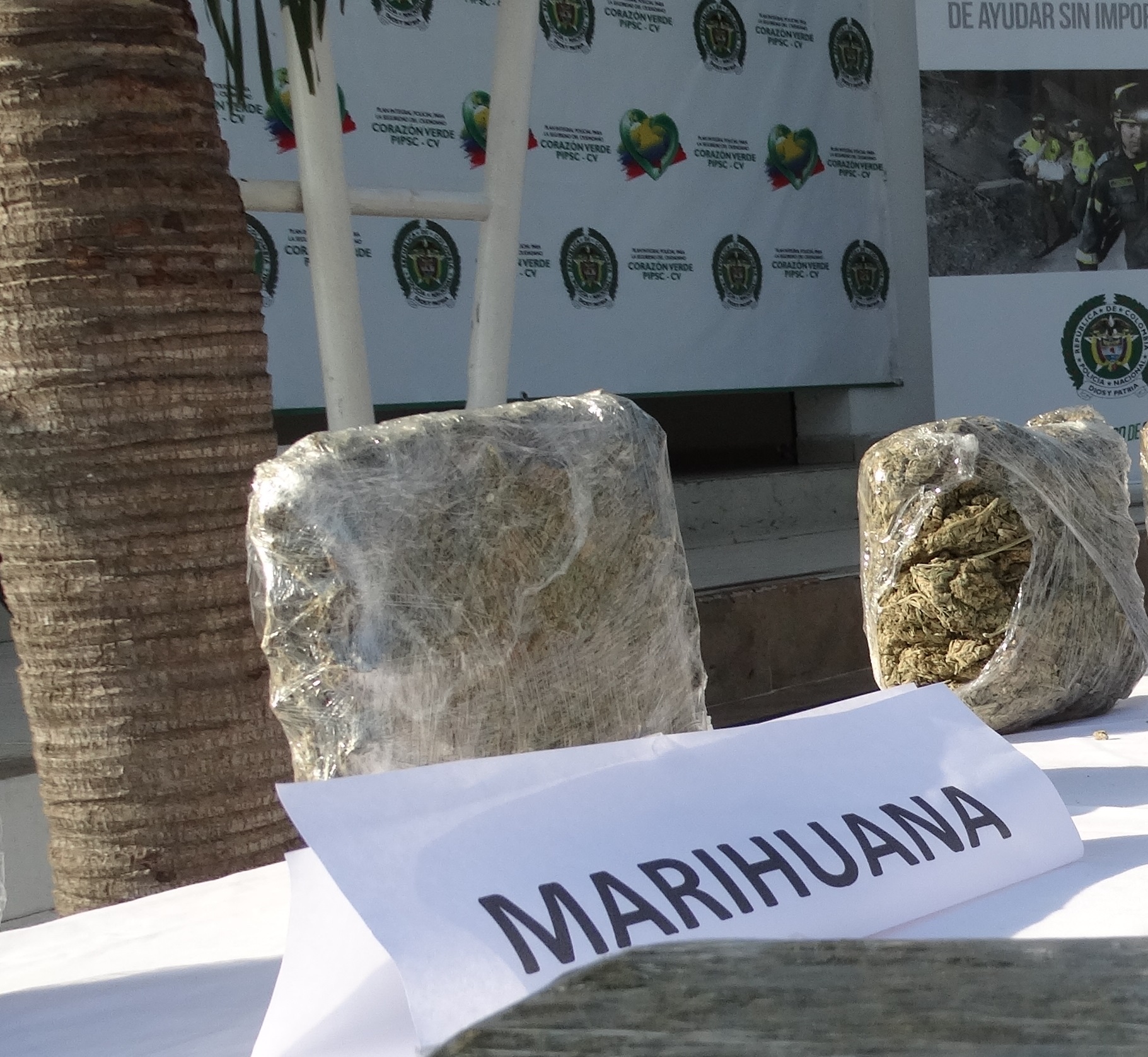 Incautados dos mil gramos de marihuana