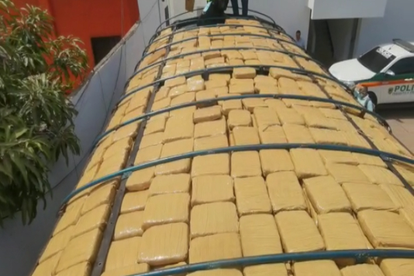 personas capturadas-alucinógeno incautado 