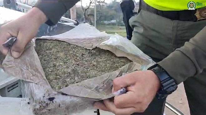 Paquetes de marihuana ocultos