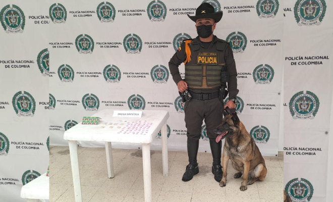 Gracias a la efectiva labor del canino antinarcoticos