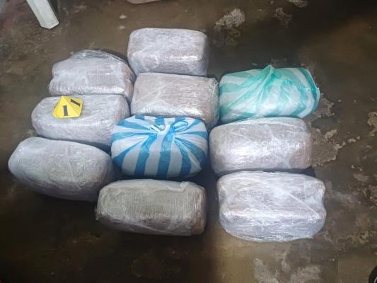 Más de 10 mil dosis de marihuana incautadas