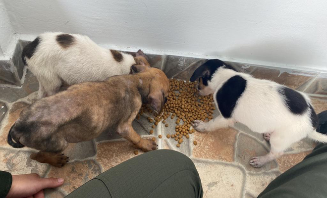 MEJORANDO SU CALIDA DE VIDA