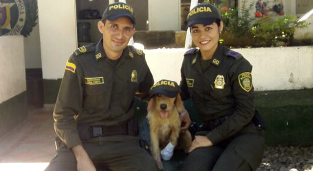 'mono' nuestro nuevo integrante de patrulla-policia-meta