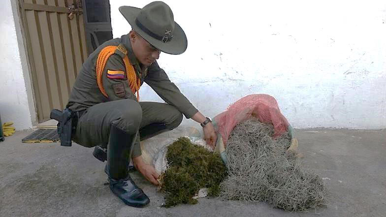 MUSGO-navidad- en el Potrerillo-policia controles
