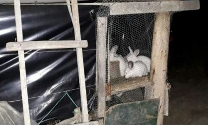  nino-rescatado-en-tunja