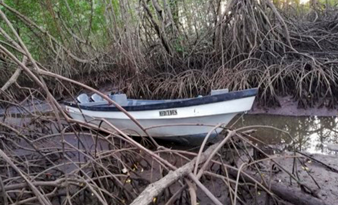 Contundente golpe a las finanzas del Grupo Armado Organizado Residual ‘Alfonso Cano’