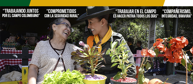 panel de seguridad rural