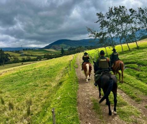 e la Seccional de  Carabineros y Protección Ambiental, realizó un operativo de patrullaje montado