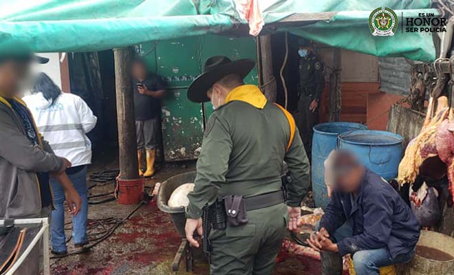  530 kg de carne incautada en un ꞌmataderoꞌ clandestino de Suba