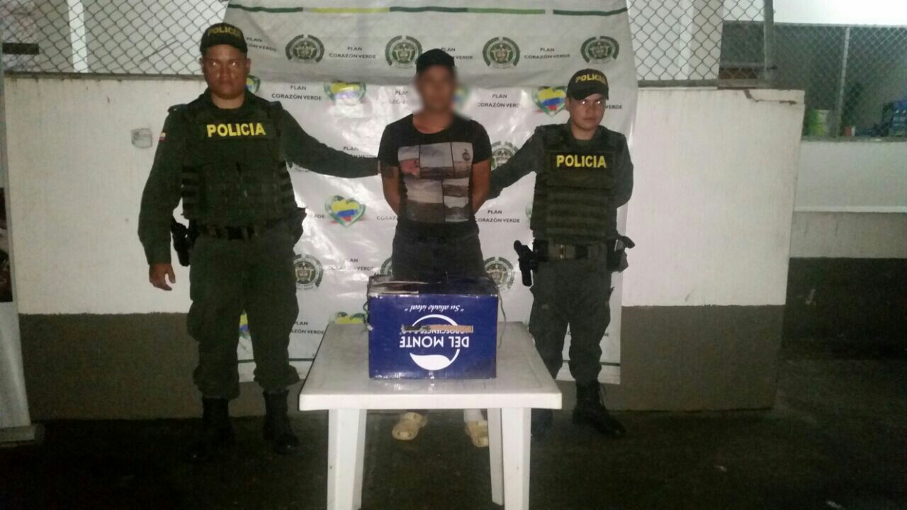 Rescate de águila protegida y en vía de extinción 