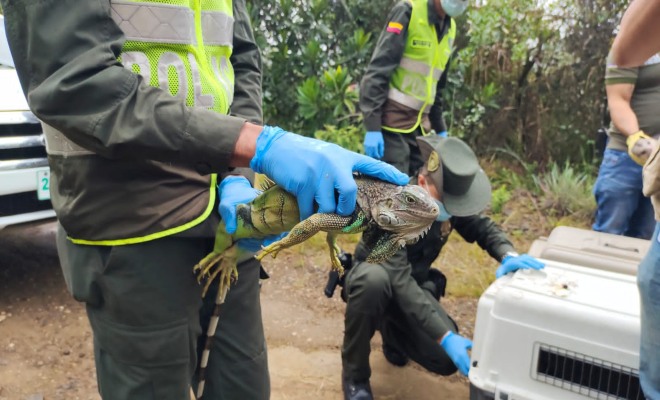 policia-cali-rescate-especies