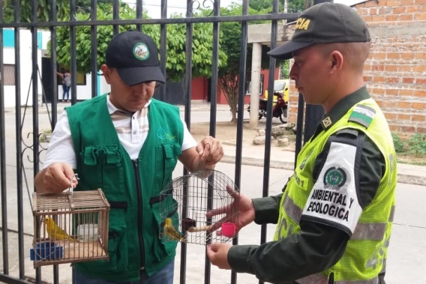 Policía-Nacional-adelanta-acciones-en-contra-de-los-delitos-ambientales