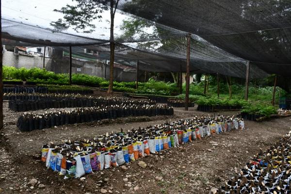 Vivero