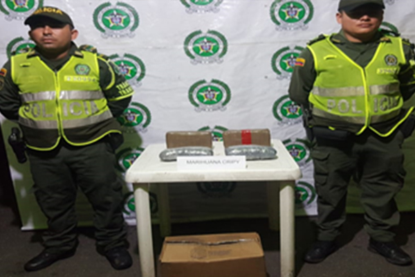 El alijo iba en un vehículo de servicio público en la modalidad de encomienda