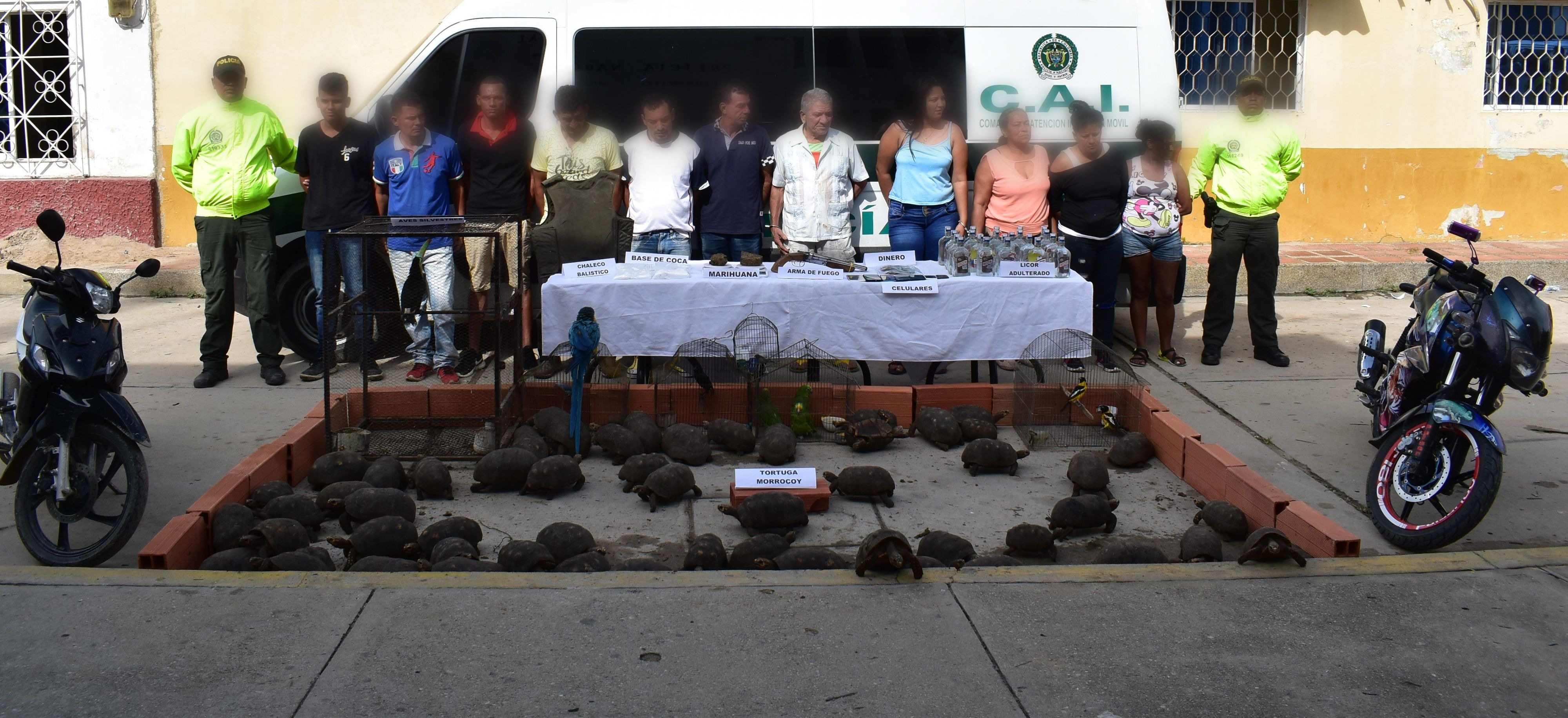 los juanes-capturas por microtrafico-fundacion-magdalena-sijin-allanamientos-especies silvestre-estupefacientes-armas de fuego