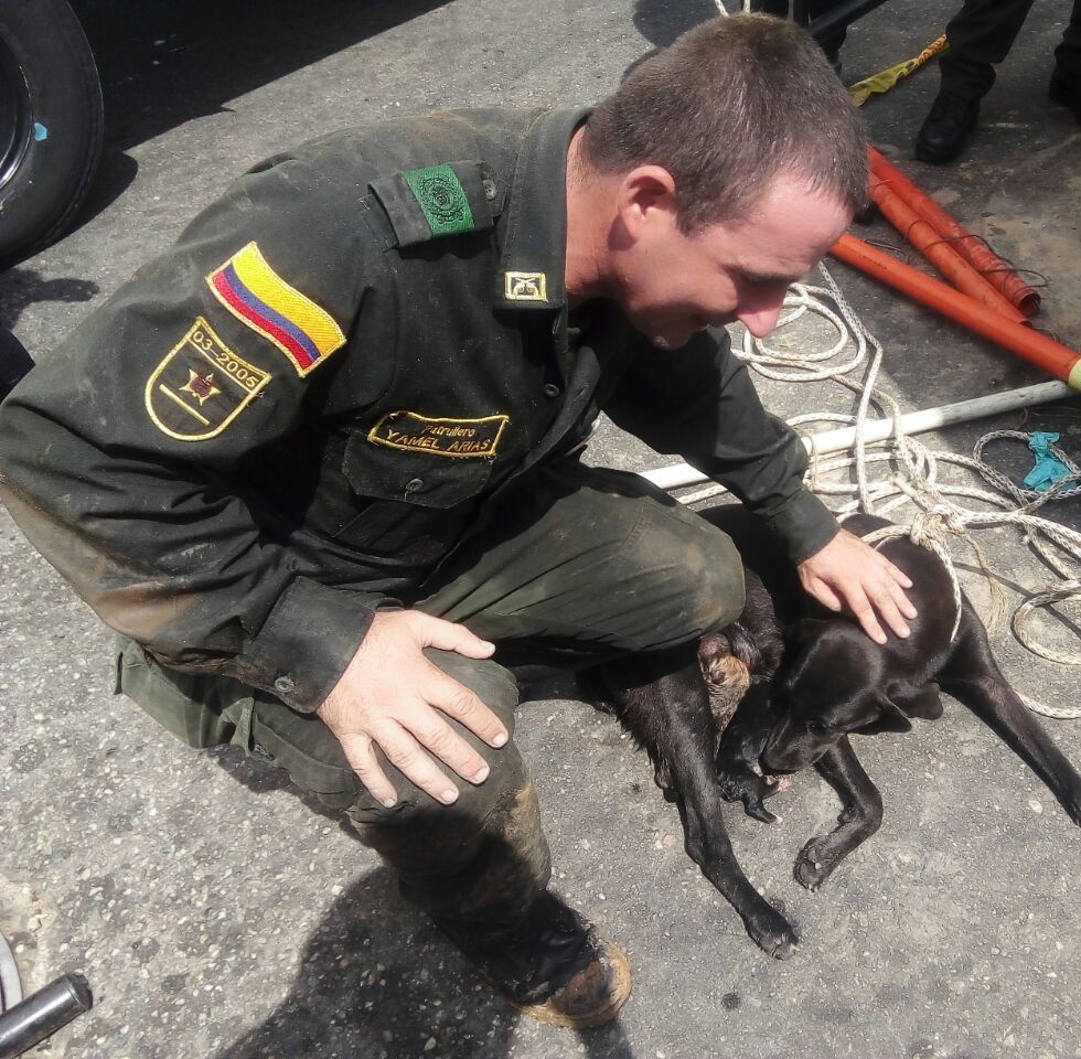 policia_rescato_canica_y_sus_cachorros_