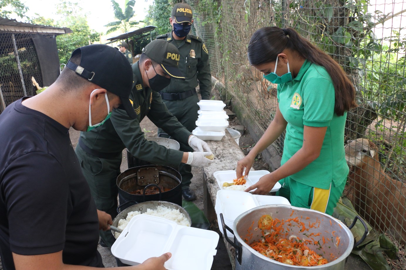 Actividad solidadria en beneficio de la comunidad