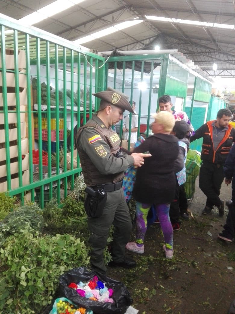 Protegemos el laurel de cera4