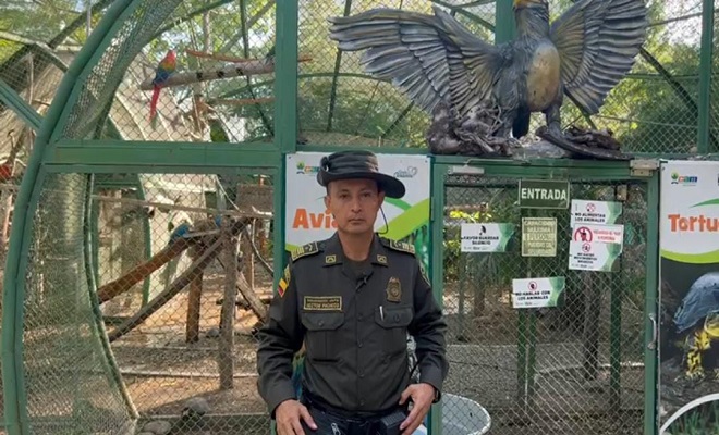 Quemar pólvora también maltrata a nuestros animales